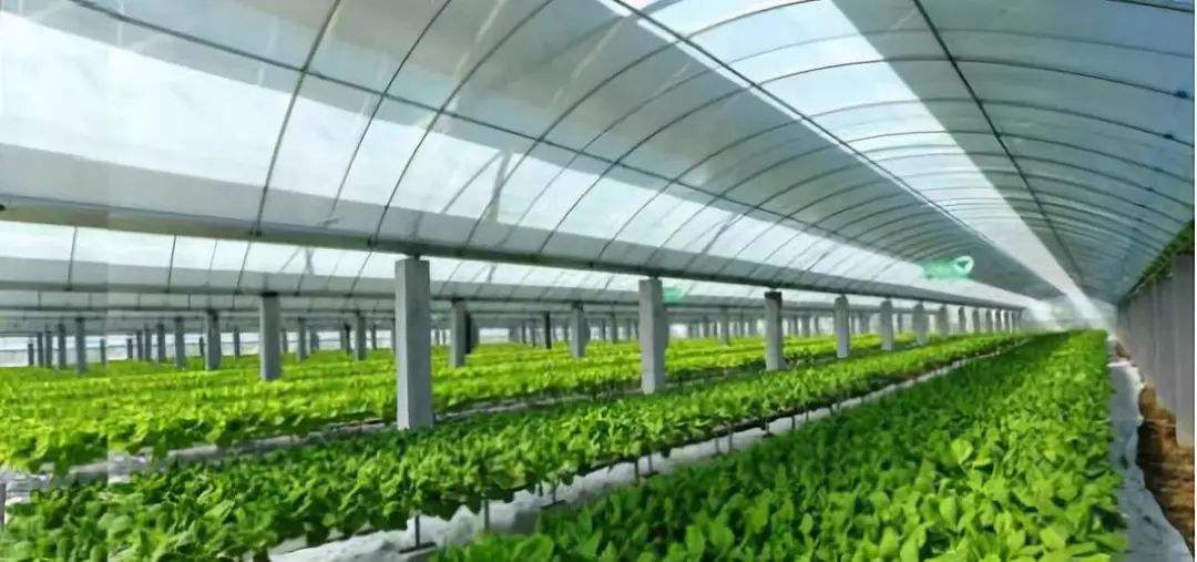 光伏技术如何改善农业温室效果 光伏技术如何改善农业温室效果