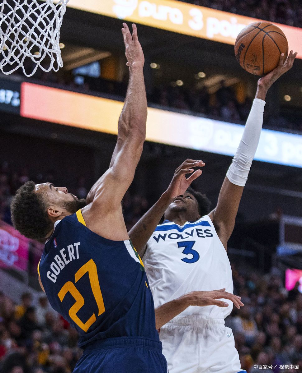 森林狼队遭遇逆转，主场失利